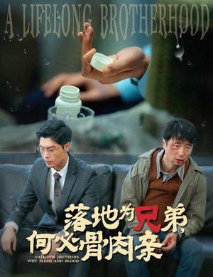 落地为兄弟，何必骨肉亲（60集）在哪个平台看
