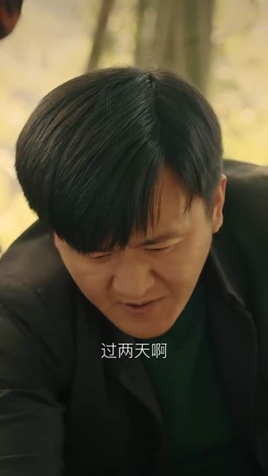 重生之我是奶奶的救赎（30集）短剧在哪个平台