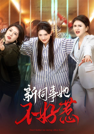 新同事她不好惹（37集）全集在线看