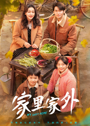 家里家外（79集） 红果短剧免费看