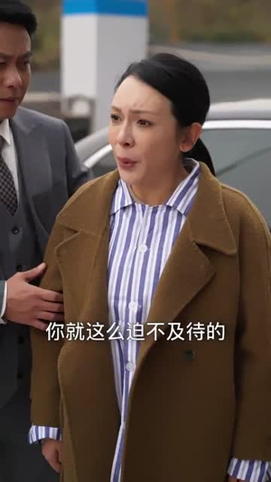 中年离婚后她名动商界（30集） 免费短剧资源