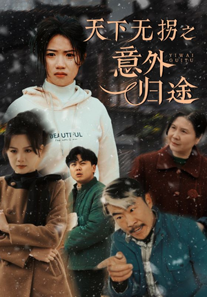 天下无拐之意外归途（61集） 超级好看的短剧