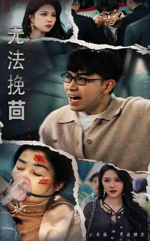 无法挽回（56集） 精彩好看短剧