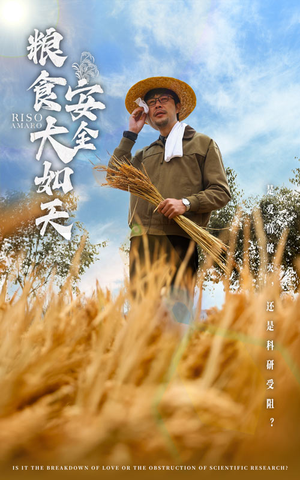 粮食安全大如天（43集） 精彩短剧分享。