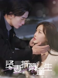 贤妻折翼逢生&雨落灯残梦（85集）  集免费看短剧