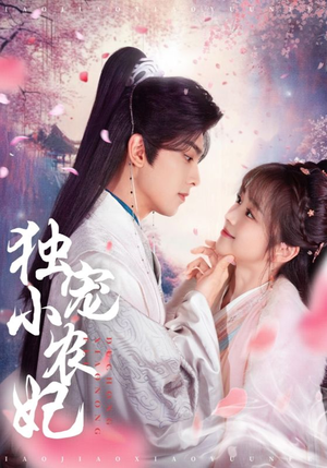 独宠小农妃（63集） 短剧分享剧集