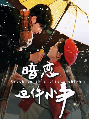 暗恋这件小事（100集） 全网独播免费看