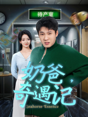 奶爸奇遇记（60集） 夸克网盘观看