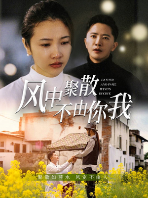 风中聚散不由你我（41集） 常回家看看短剧