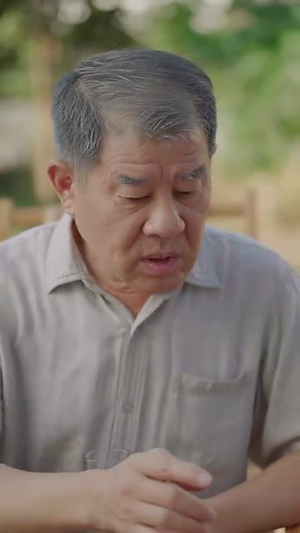 清明出游之我的爱国爷爷（35集）迅雷网盘观看