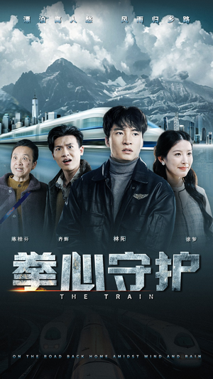 拳心守护（28集） 短剧解说全集