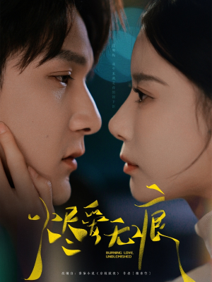 烬爱无痕（92集）免费在线看