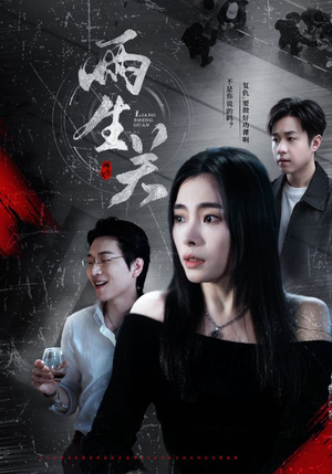 两生关（40集）评价怎么样