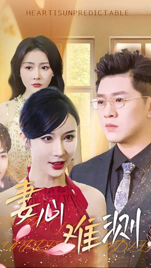 妻心难测（33集）看短剧放松一下