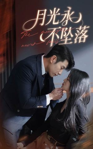 月光永不坠落（61集） 在线免费观看