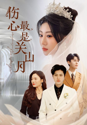 伤心最是关山月（82集）在线看免费版