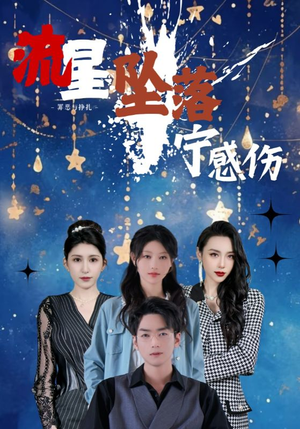 流星坠落宁感伤（82集） 最后一集