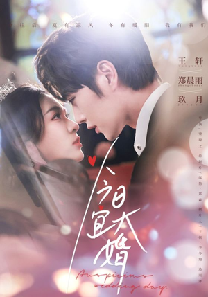 今日宜大婚（59集） 男主角是谁