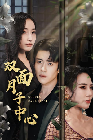 双面月子中心（58集）演的怎么样