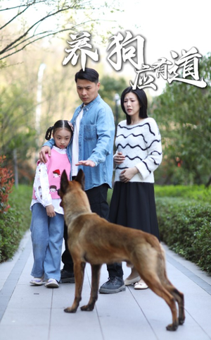 养狗应有道（60集）高清画质免费看
