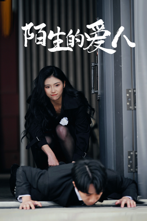 陌生的爱人（60集）精彩短剧合集