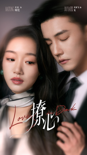 撩心（80集）全集完整版