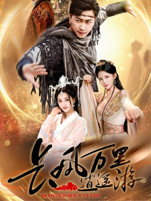长风万里逍遥游（70集）好看吗