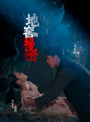 地窖的秘密（40集）免费短剧全集看