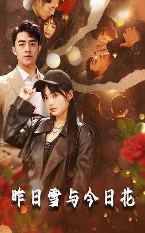 昨日雪与今日花（81集）精彩短剧看全集
