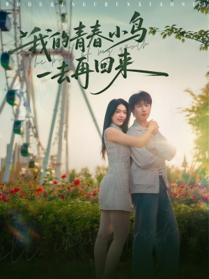 我的青春小鸟一去再回来（95集）好看的国产短剧