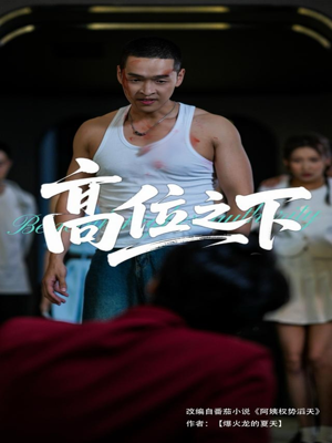 高位之下（65集）短剧全集免费看