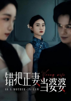 错把正妻当婆婆（46集）全集一次看完