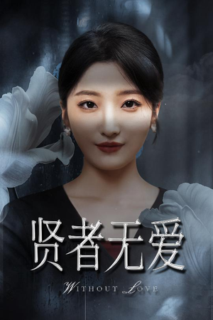 贤者无爱（42集）追短剧看全集