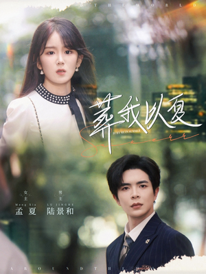 葬我以夏（73集）追短剧关注我