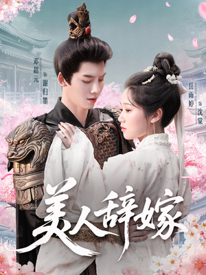 美人辞嫁（84集）好看吗