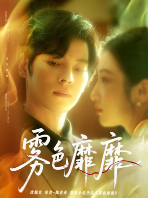 雾色靡靡（67集）精彩连连免费看