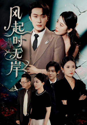 风起时无岸（58集）恋爱短剧分享