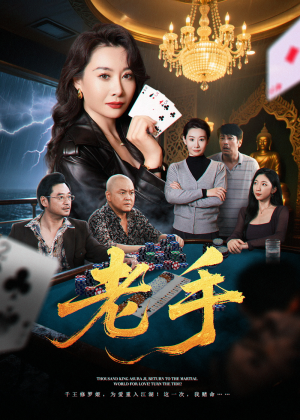老手（36集）哪个短剧网能看