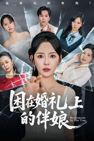 困在婚礼上的伴娘（60集）解说文案