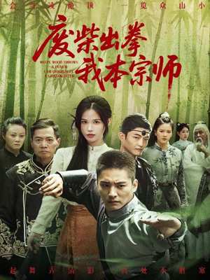 废柴出拳我本宗师（61集）好看吗
