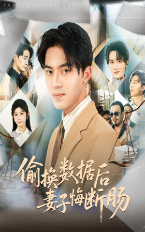 偷换数据后妻子悔断肠（63集）精彩短剧追不停