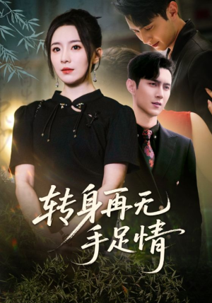 转身再无手足情（71集）让你一口气看完
