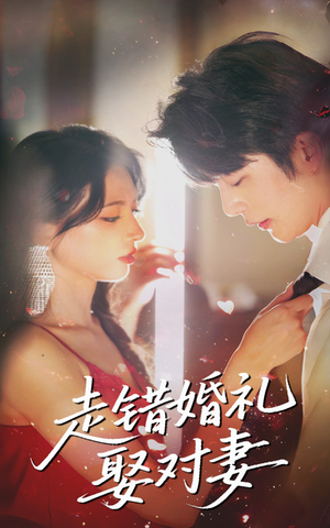 走错婚礼娶对妻（60集最新火爆短剧