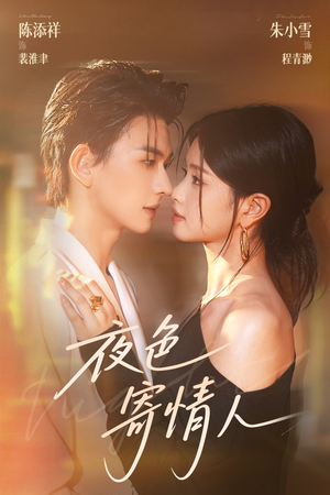 夜色寄情人（108集）全剧看到大结局