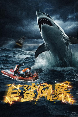 巨鲨风暴（59集）今日最火短剧