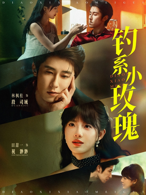 钓系小玫瑰（82集）看到了大结局