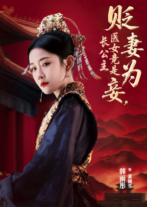 贬妻为妾医女竟是长公主（80集）零花钱看整部剧