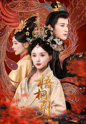 梧桐引（70集）追短剧关注我