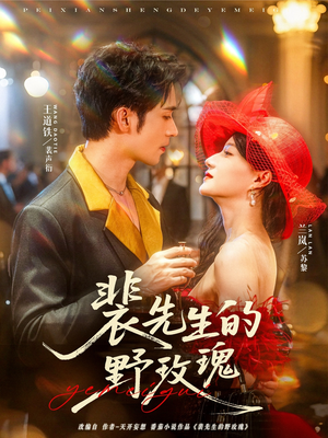 裴先生的野玫瑰（72集）全集完整版