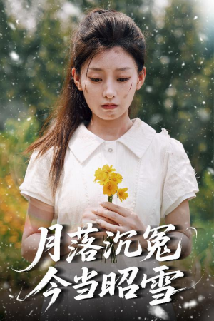 月落沉冤今当昭雪（60集）第三季